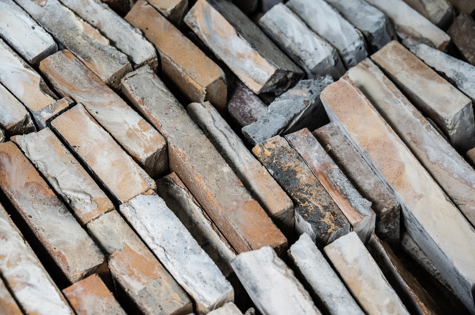 9-NikolajDaniel-18092025-4124